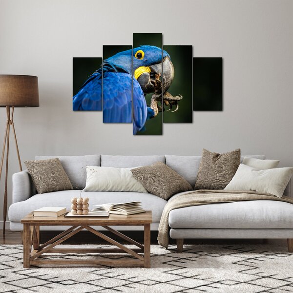 Slika papige (150x105 cm)