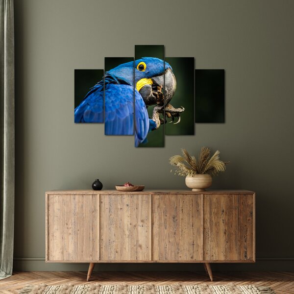 Slika papige (150x105 cm)