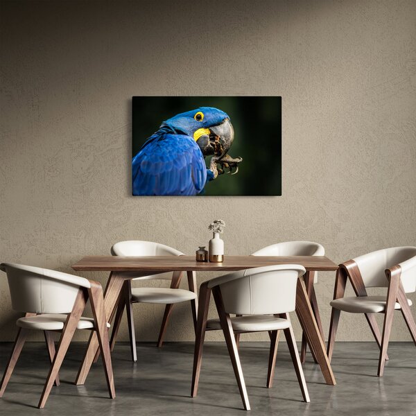 Slika papige (90x60 cm)