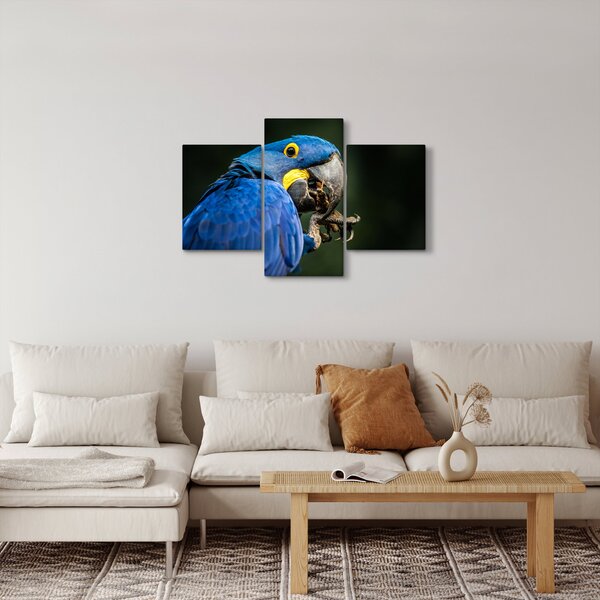 Slika papige (90x60 cm)