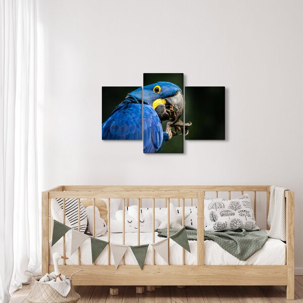 Slika papige (90x60 cm)