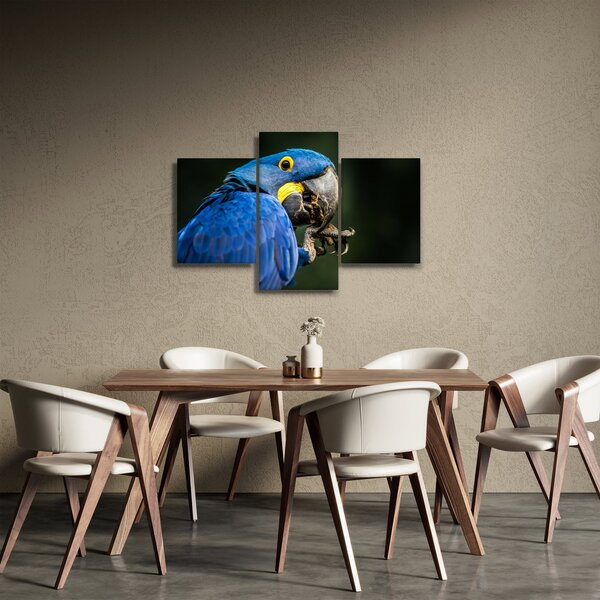 Slika papige (90x60 cm)
