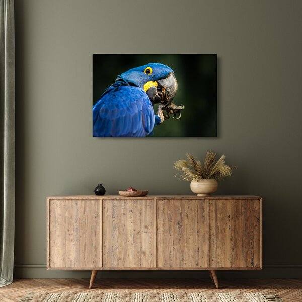 Slika papige (90x60 cm)
