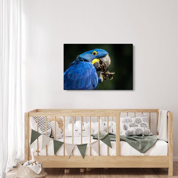 Slika papige (90x60 cm)