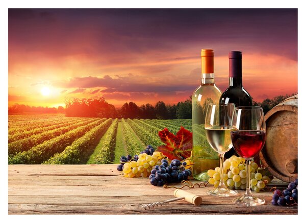 Slika vinograda s vinom (70x50 cm)