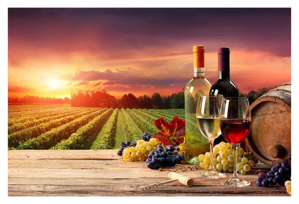 Slika vinograda s vinom (90x60 cm)