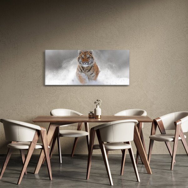 Slika tigra koji trči u snijegu (120x50 cm)