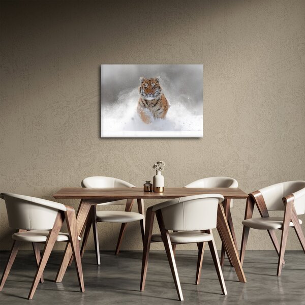 Slika tigra koji trči u snijegu (70x50 cm)