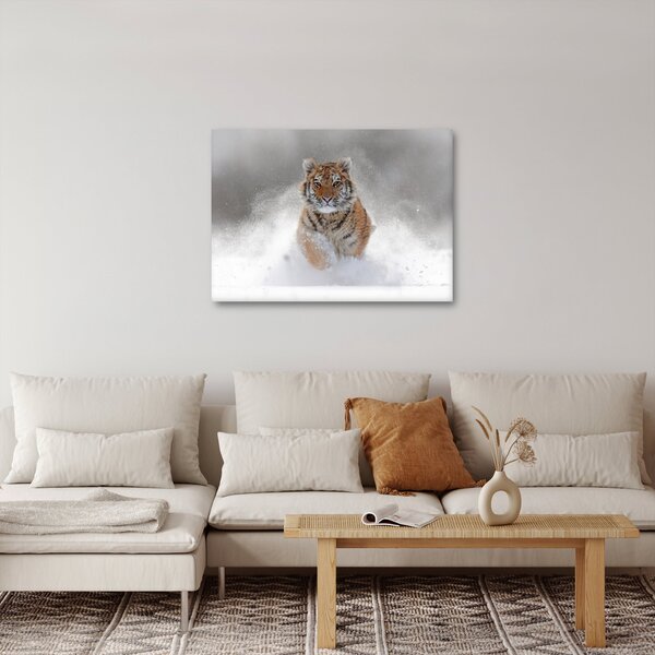 Slika tigra koji trči u snijegu (70x50 cm)
