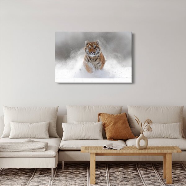 Slika tigra koji trči u snijegu (90x60 cm)