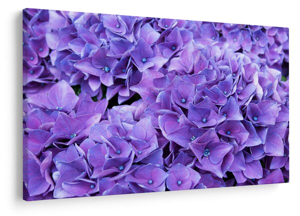 Slika ljubičastog cvijeća (90x60 cm)