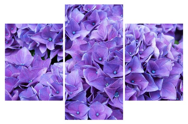 Slika ljubičastog cvijeća (90x60 cm)