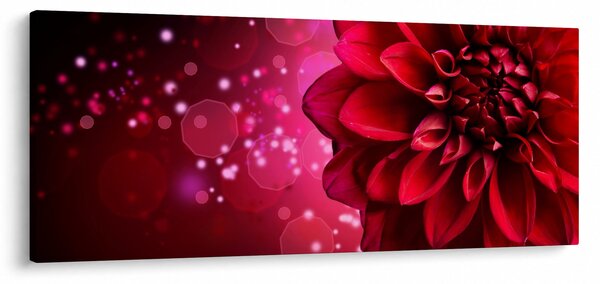 Slika crvenog cvijeta (120x50 cm)