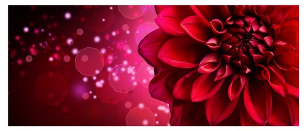 Slika crvenog cvijeta (120x50 cm)