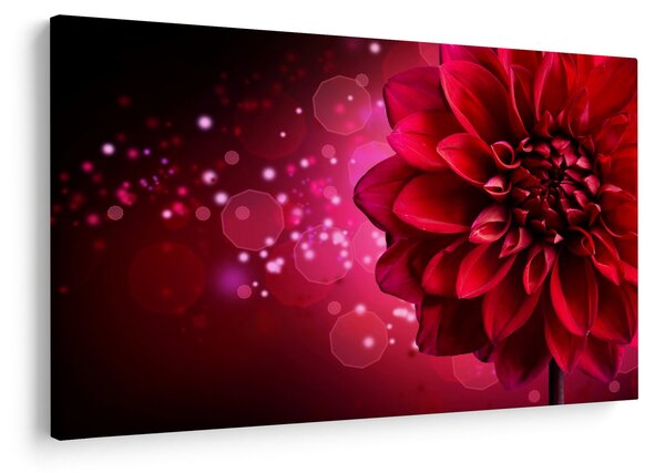 Slika crvenog cvijeta (90x60 cm)