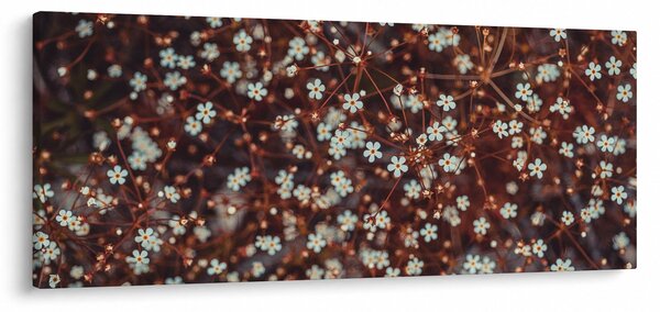 Slika cvijeta šumske potočnice (120x50 cm)