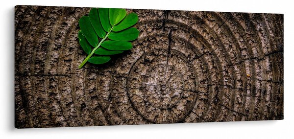 Slika lista na deblu drveta (120x50 cm)