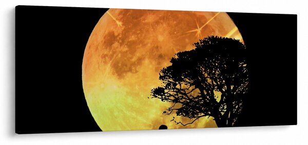 Slika sjena na mjesečini (120x50 cm)