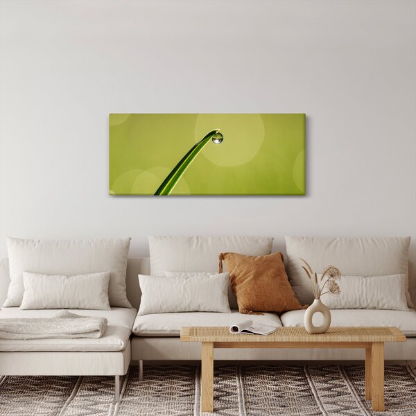 Slika kapi vode na travi (120x50 cm)
