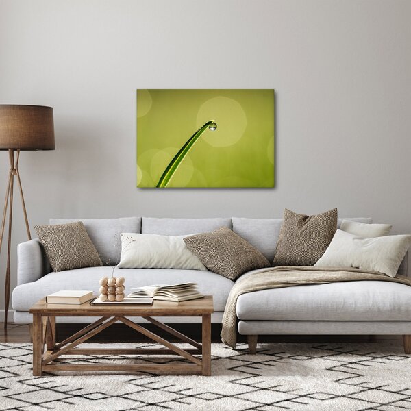 Slika kapi vode na travi (70x50 cm)