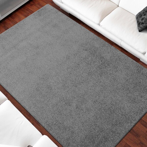 Sivi tepih Širina: 200 cm | Duljina: 300 cm