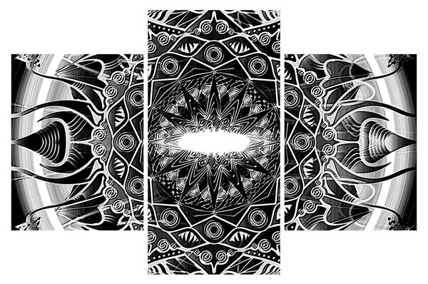 Slika crno-bijelih ornamenata (90x60 cm)