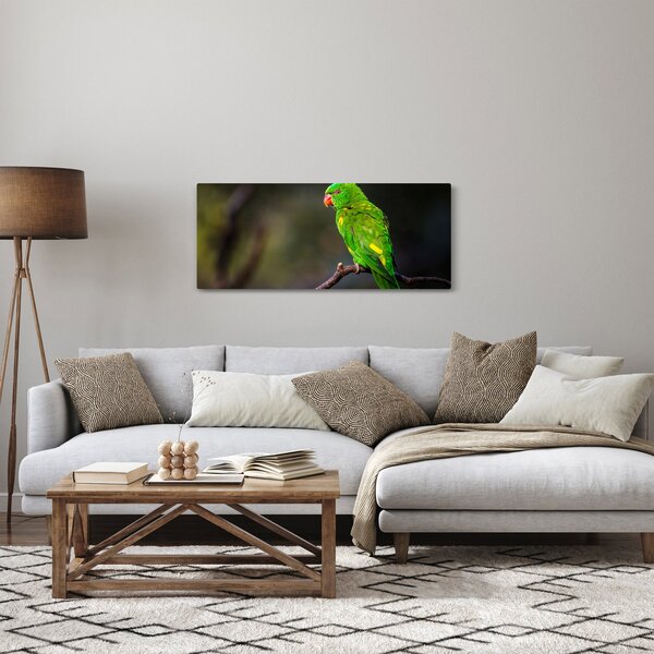 Slika papige na grani (120x50 cm)