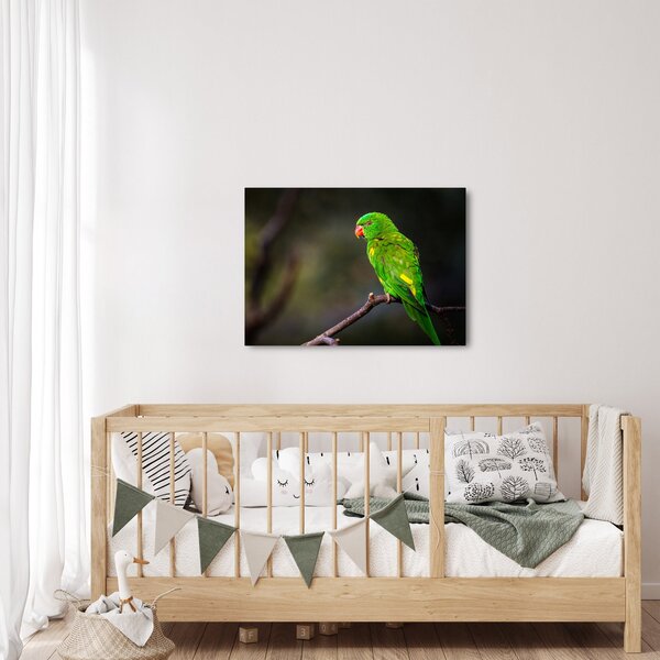Slika papige na grani (70x50 cm)