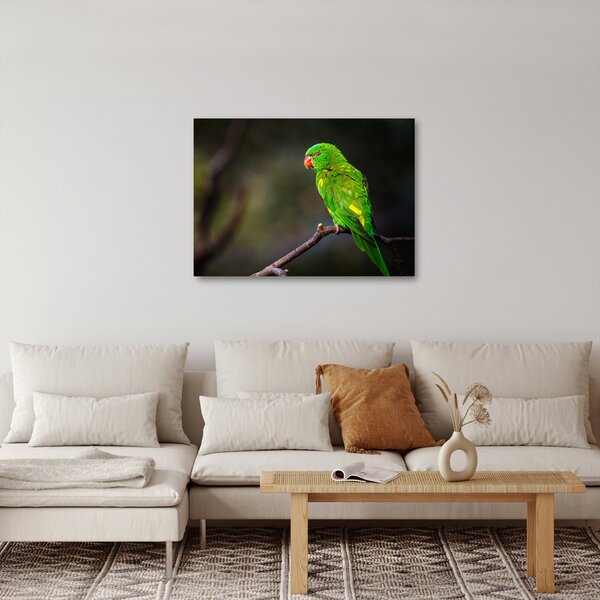 Slika papige na grani (70x50 cm)