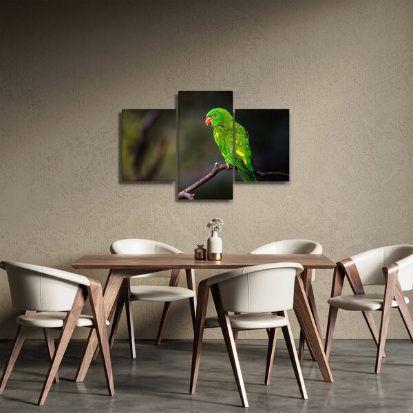 Slika papige na grani (90x60 cm)
