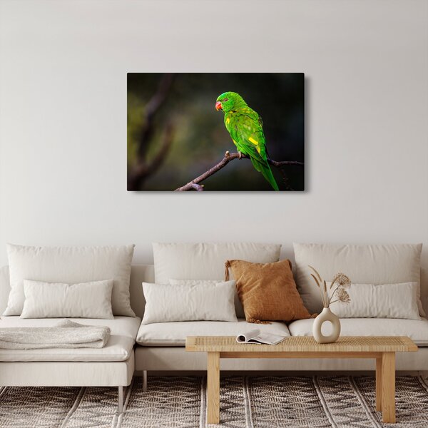 Slika papige na grani (90x60 cm)