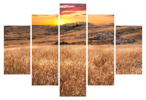 Slika polja (150x105 cm)