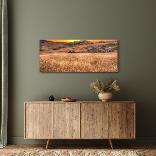 Slika polja (120x50 cm)