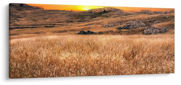 Slika polja (120x50 cm)