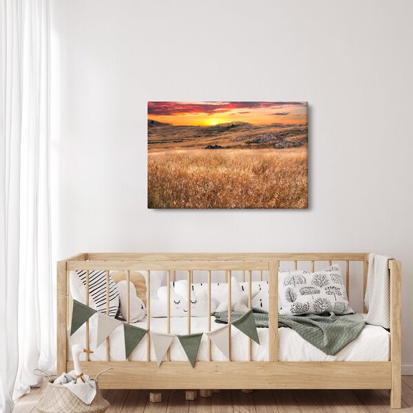 Slika polja (90x60 cm)