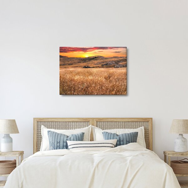 Slika polja (70x50 cm)