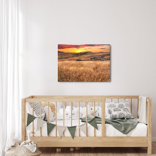 Slika polja (70x50 cm)