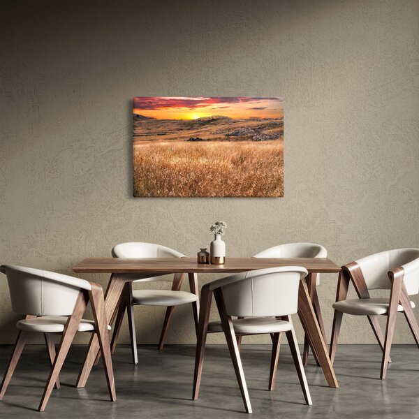Slika polja (90x60 cm)
