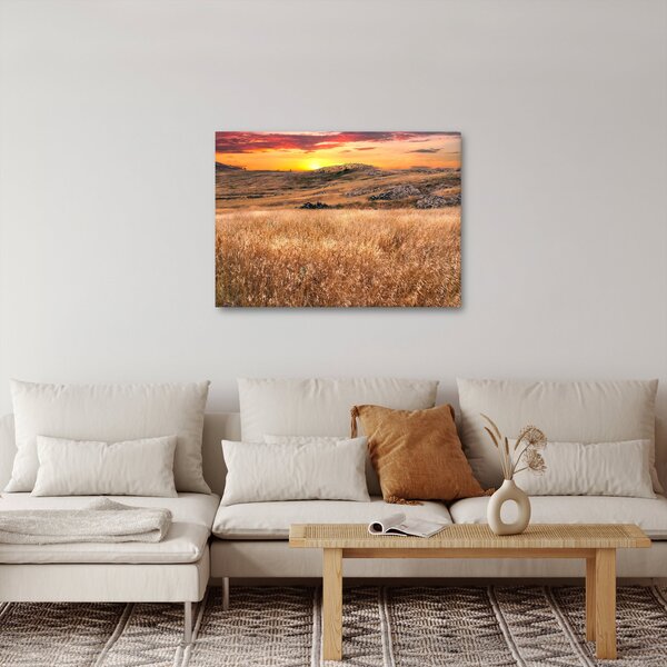 Slika polja (70x50 cm)