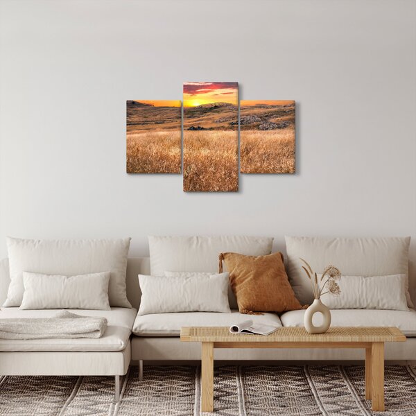 Slika polja (90x60 cm)