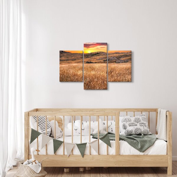 Slika polja (90x60 cm)