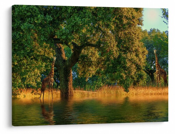Slika žirafe u divljini (70x50 cm)