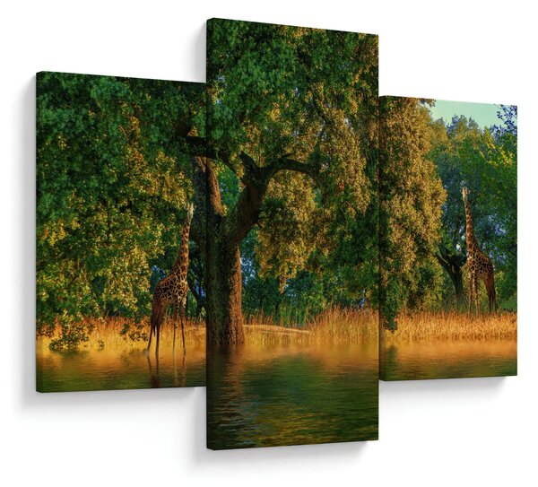 Slika žirafe u divljini (90x60 cm)