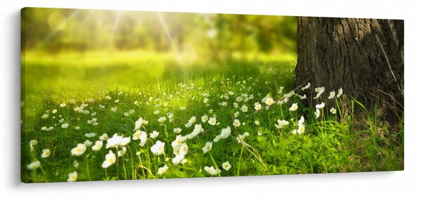 Slika proplanaka i cvijeća (120x50 cm)