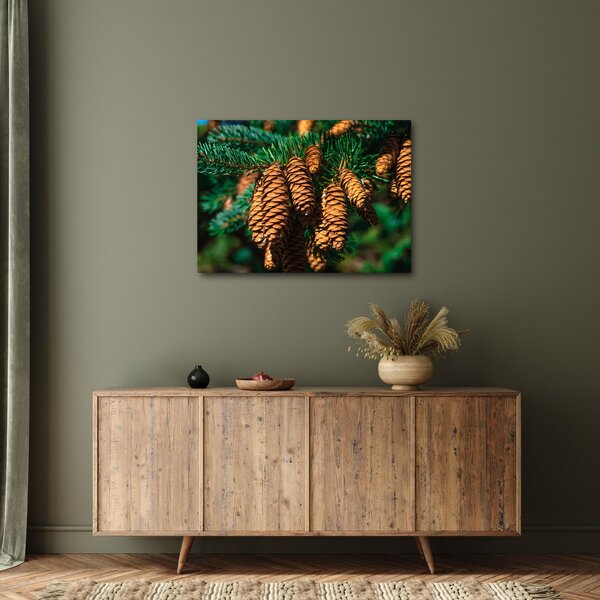 Slika češera (70x50 cm)