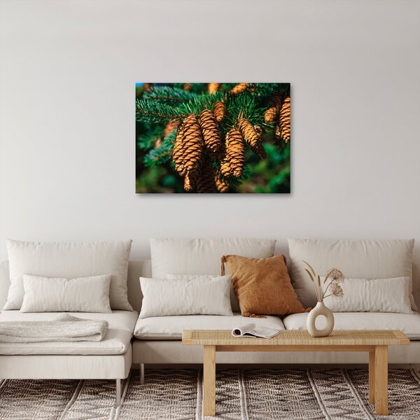 Slika češera (70x50 cm)