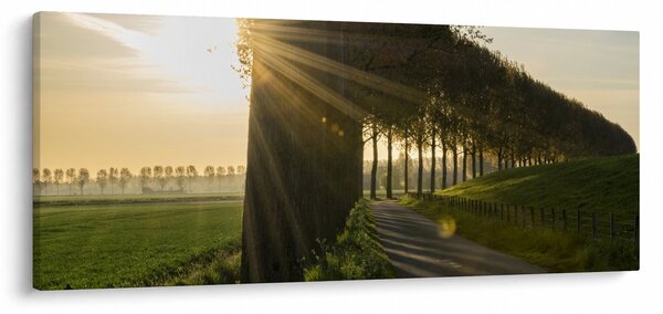 Slika aleja (120x50 cm)