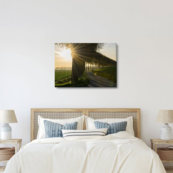 Slika aleja (70x50 cm)