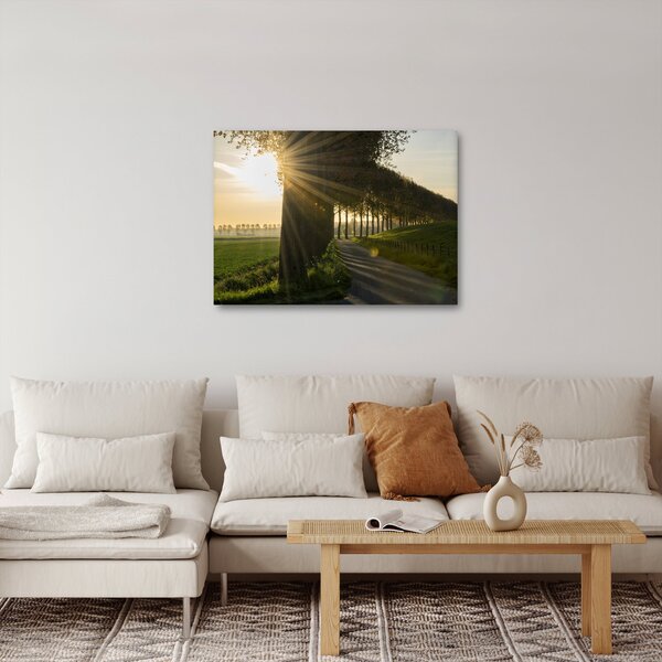 Slika aleja (70x50 cm)