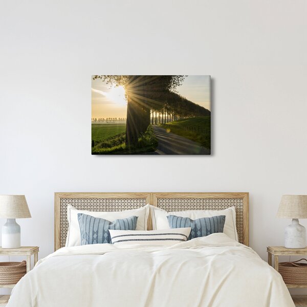 Slika aleja (90x60 cm)